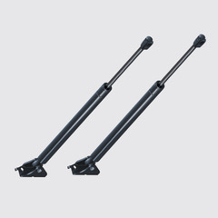 Picture of Strong Arm Lift Support