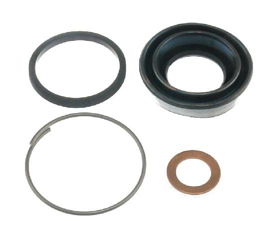 Carlson 15117 Disc Brake Caliper Repair Kit product image 1 of 1