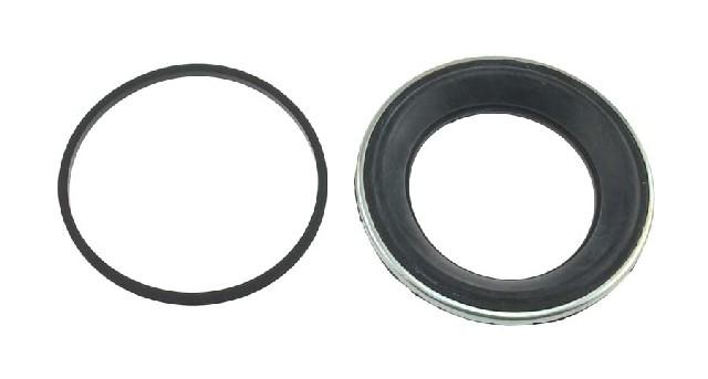 Carlson 41009 Disc Brake Caliper Repair Kit product image 1 of 1