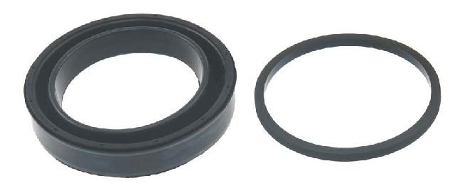 Carlson 41272 Disc Brake Caliper Repair Kit product image 1 of 1