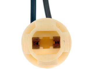 Dorman 85816 License Lamp Socket product image 1 of 6