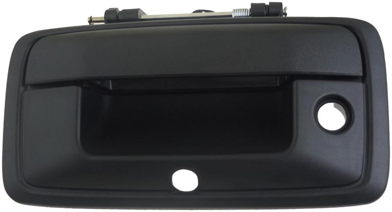 Dorman 82543 - Tailgate Handle Dorman 82543 Tailgate Handle product image 1 of 3