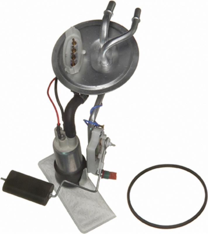 Carter P74815S  product image 1 of 2
