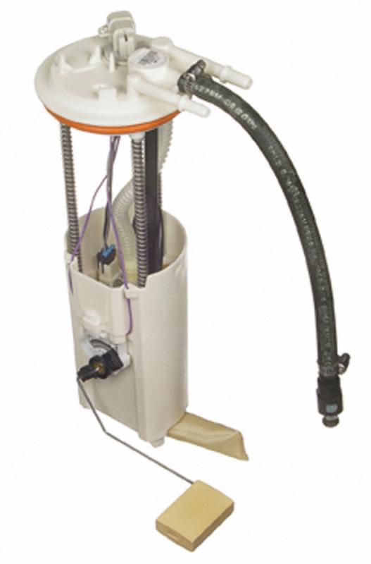 Carter P74829M  product image 2 of 2