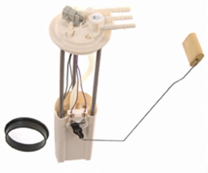 Carter P74931M  product image 1 of 2
