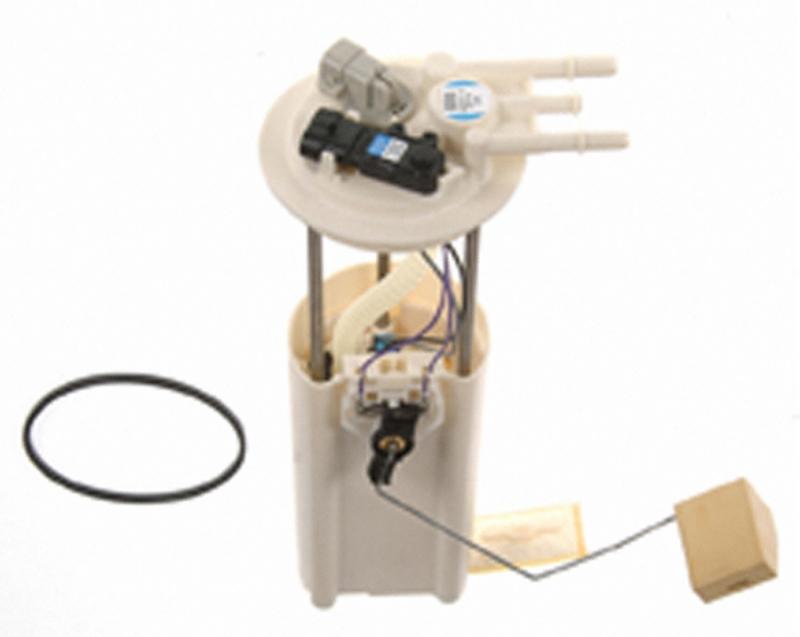 Carter P74993M  product image 2 of 2