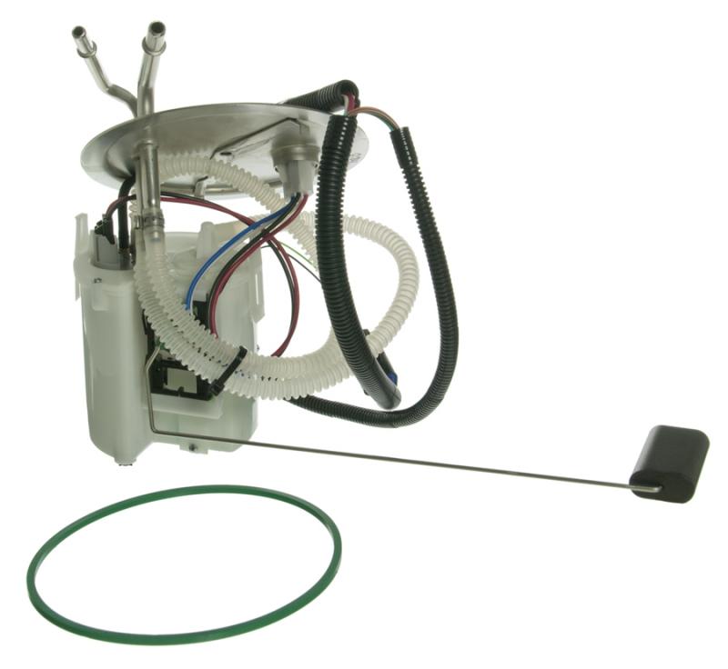 Carter P75034M  product image 1 of 2