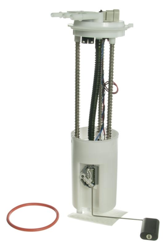 Carter P75055M  product image 2 of 2