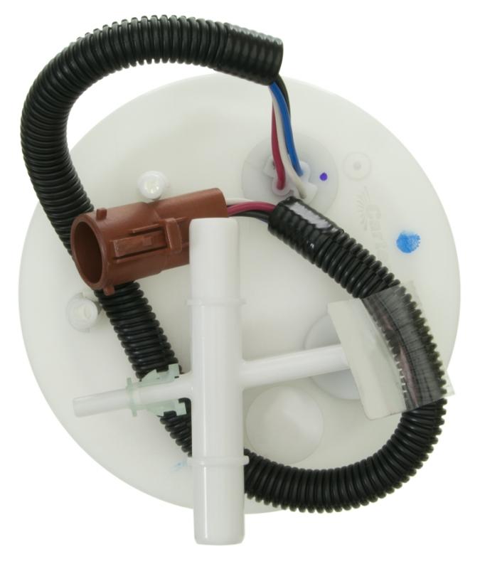 Carter P76117M  product image 3 of 5