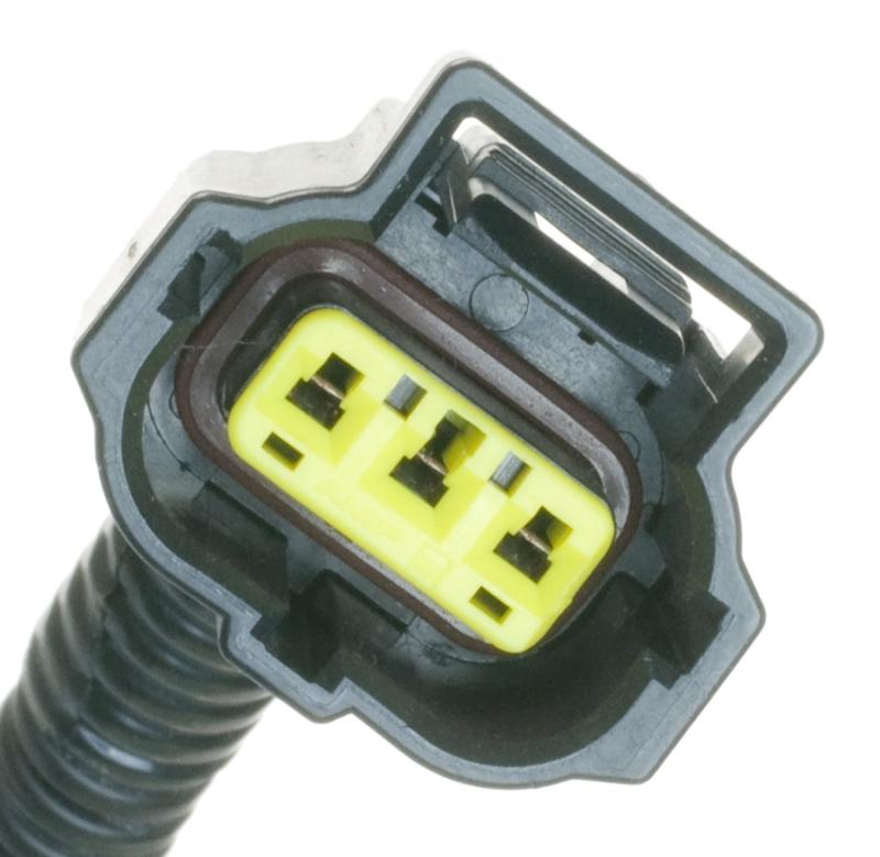 Carter P76156S  product image 2 of 3