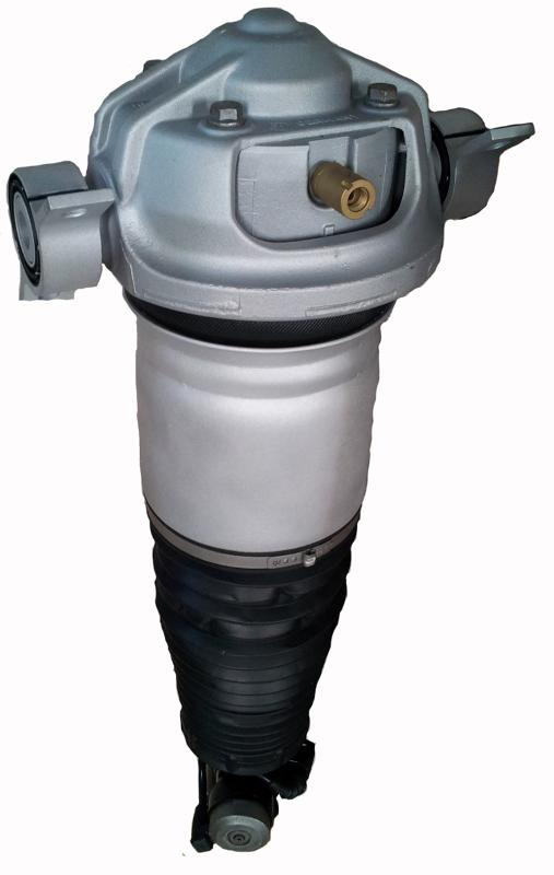 Westar AS7356 Suspension Air Strut product image 1 of 1