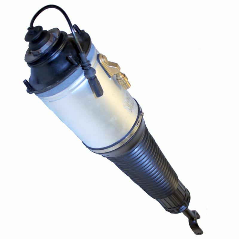 Westar AS7359 Suspension Air Strut product image 1 of 1