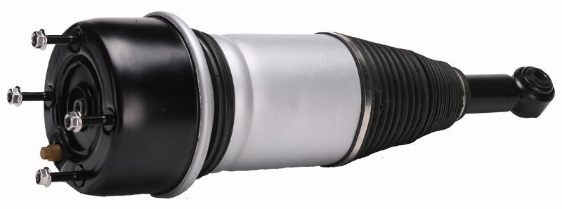 Westar AS7369 Suspension Air Strut product image 1 of 1
