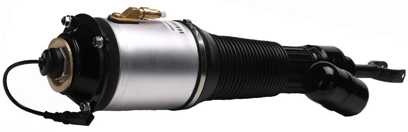 Westar AS7363 Suspension Air Strut product image 1 of 1