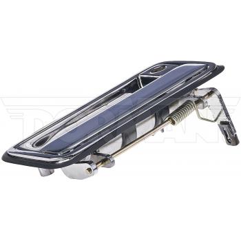 Dorman 82799 Tailgate Handle product image 1 of 4