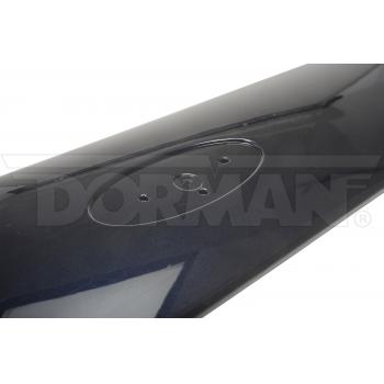 Dorman 924096 - Rear Panel Applique Dorman 924096 Rear Panel Applique product image 1 of 4