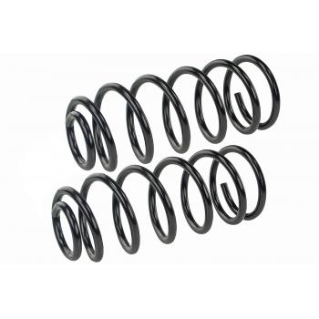 Mevotech SMS86058 Coil Spring Set product image 1 of 1