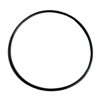 Agility Auto Parts 4060006 Fuel Tank Lock Ring product image 1 of 1