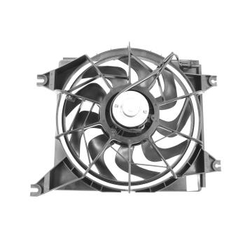 Agility Auto Parts 6020117 Engine Cooling Fan Assembly product image 1 of 1
