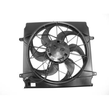 Agility Auto Parts 6022106 Engine Cooling Fan Assembly product image 1 of 1