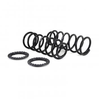 Arnott C2410 Air Spring to Coil Spring Conversion Kit product image 2 of 7