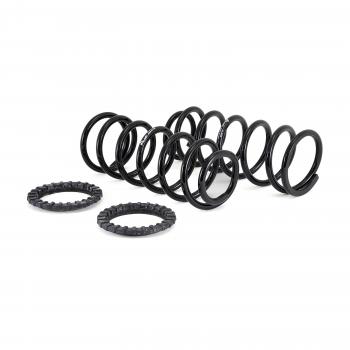 Arnott C2410 Air Spring to Coil Spring Conversion Kit product image 6 of 7