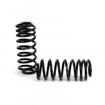 Arnott C2608 Air Spring to Coil Spring Conversion Kit product image 4 of 5