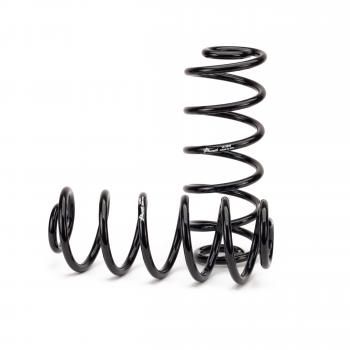 Arnott C2666 Air Spring to Coil Spring Conversion Kit product image 1 of 14