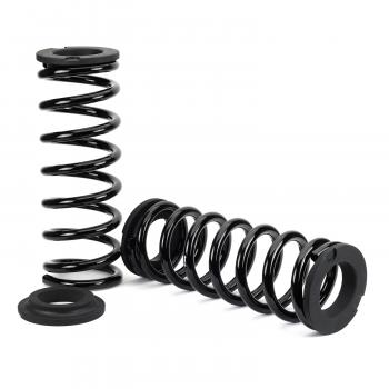 Arnott C3434 Air Spring to Coil Spring Conversion Kit product image 2 of 4