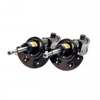 Arnott SK2189 Shock Absorber product image 1 of 4