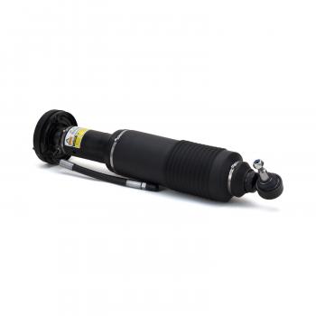 Arnott SK2413 Shock Absorber product image 1 of 4