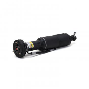 Arnott SK2413 Shock Absorber product image 2 of 4