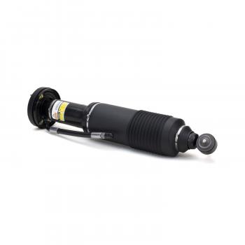 Arnott SK2417 Shock Absorber product image 1 of 4