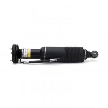 Arnott SK2417 Shock Absorber product image 4 of 4