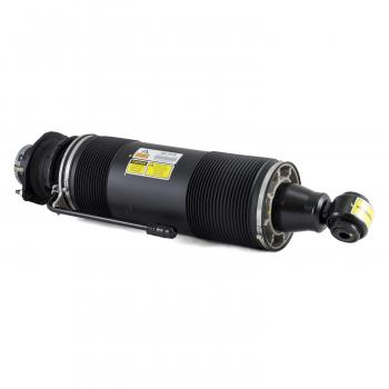 Arnott SK2419 Shock Absorber product image 1 of 5