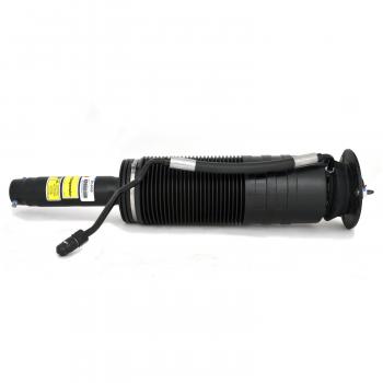 Arnott SK2458 Shock Absorber product image 1 of 5