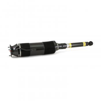 Arnott SK2460 Shock Absorber product image 1 of 6