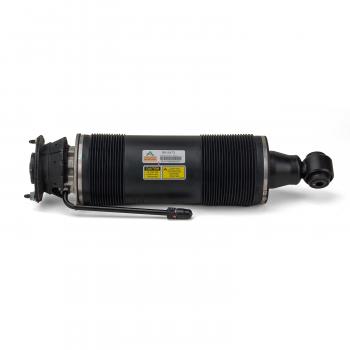Arnott SK2473 Shock Absorber product image 4 of 4