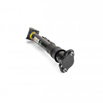 Arnott SK3029 Shock Absorber product image 1 of 4