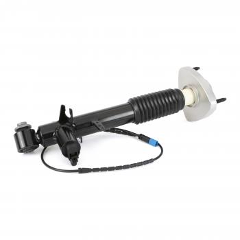 Arnott SK3816 Shock Absorber product image 2 of 5