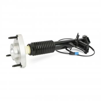 Arnott SK3817 - Shock Absorber Arnott SK3817 Shock Absorber product image 1 of 5