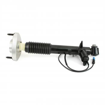 Arnott SK3817 - Shock Absorber Arnott SK3817 Shock Absorber product image 4 of 5
