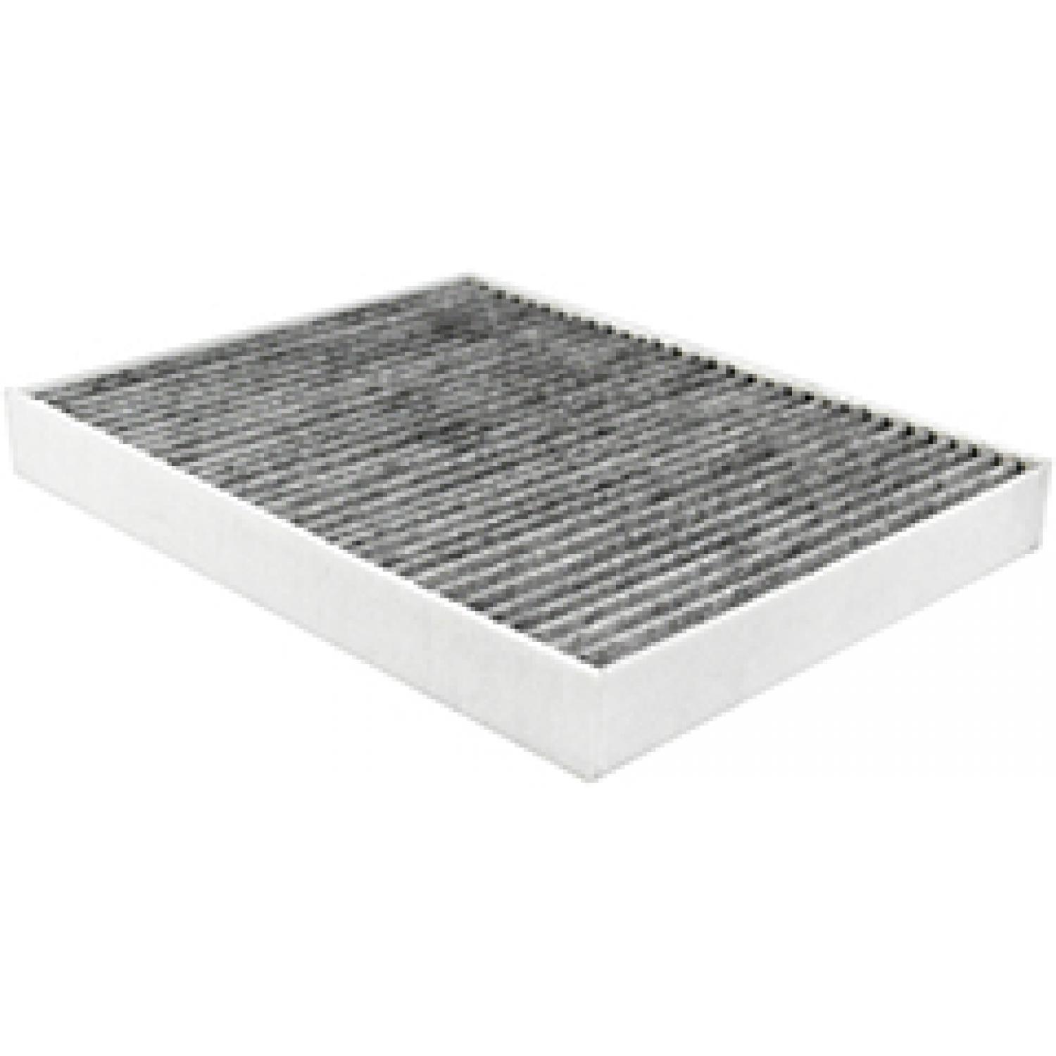 Baldwin PA10018 Cabin Air Filter product image 1 of 1