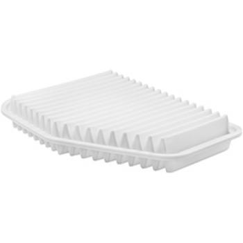 Baldwin PA10060 Air Filter product image 1 of 1