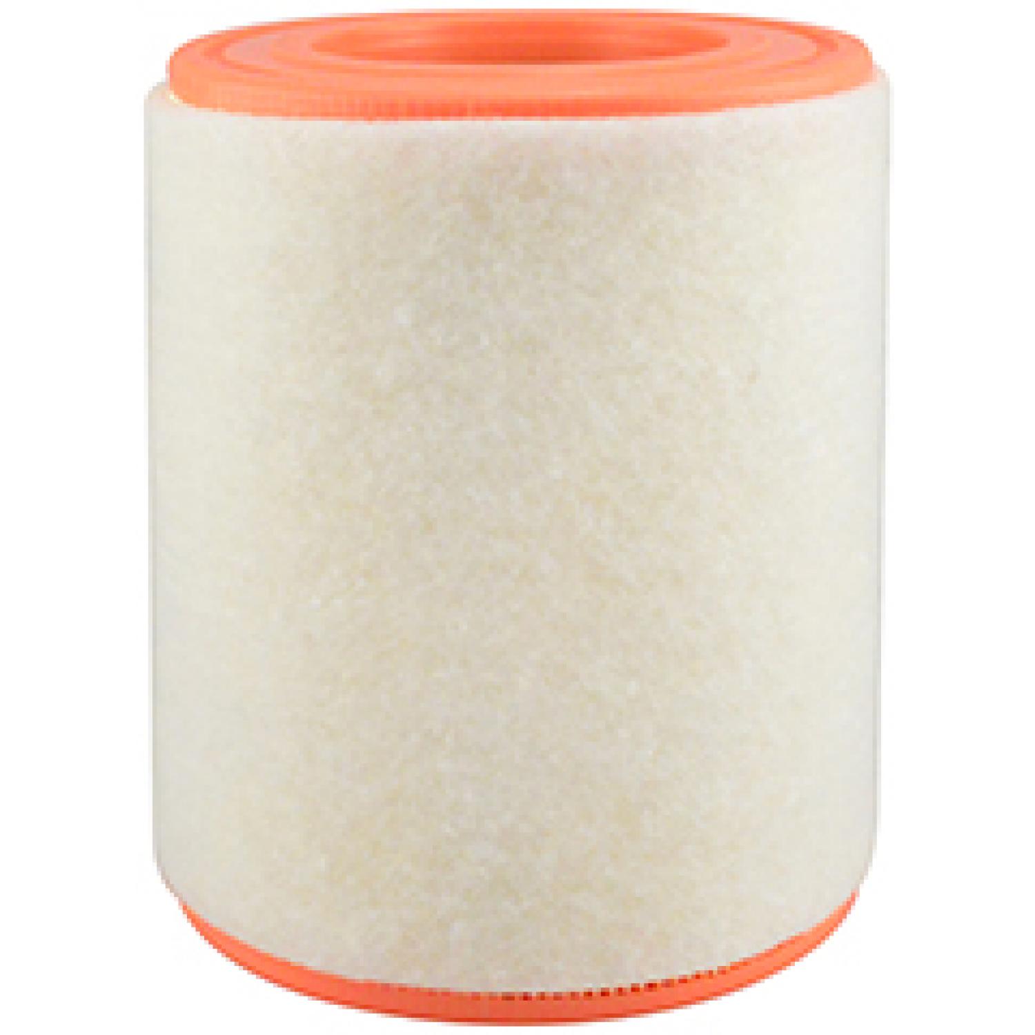 Baldwin PA10111 Air Filter product image 1 of 1