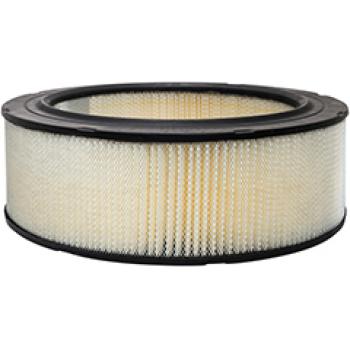 Baldwin PA10112 Air Filter product image 1 of 1