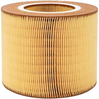 Baldwin PA10123 Air Filter product image 1 of 1