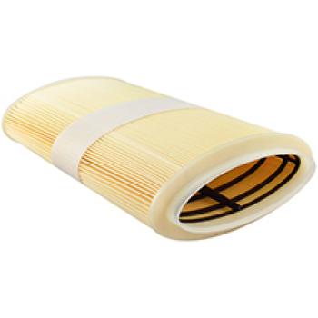 Baldwin PA10125 Air Filter product image 1 of 1