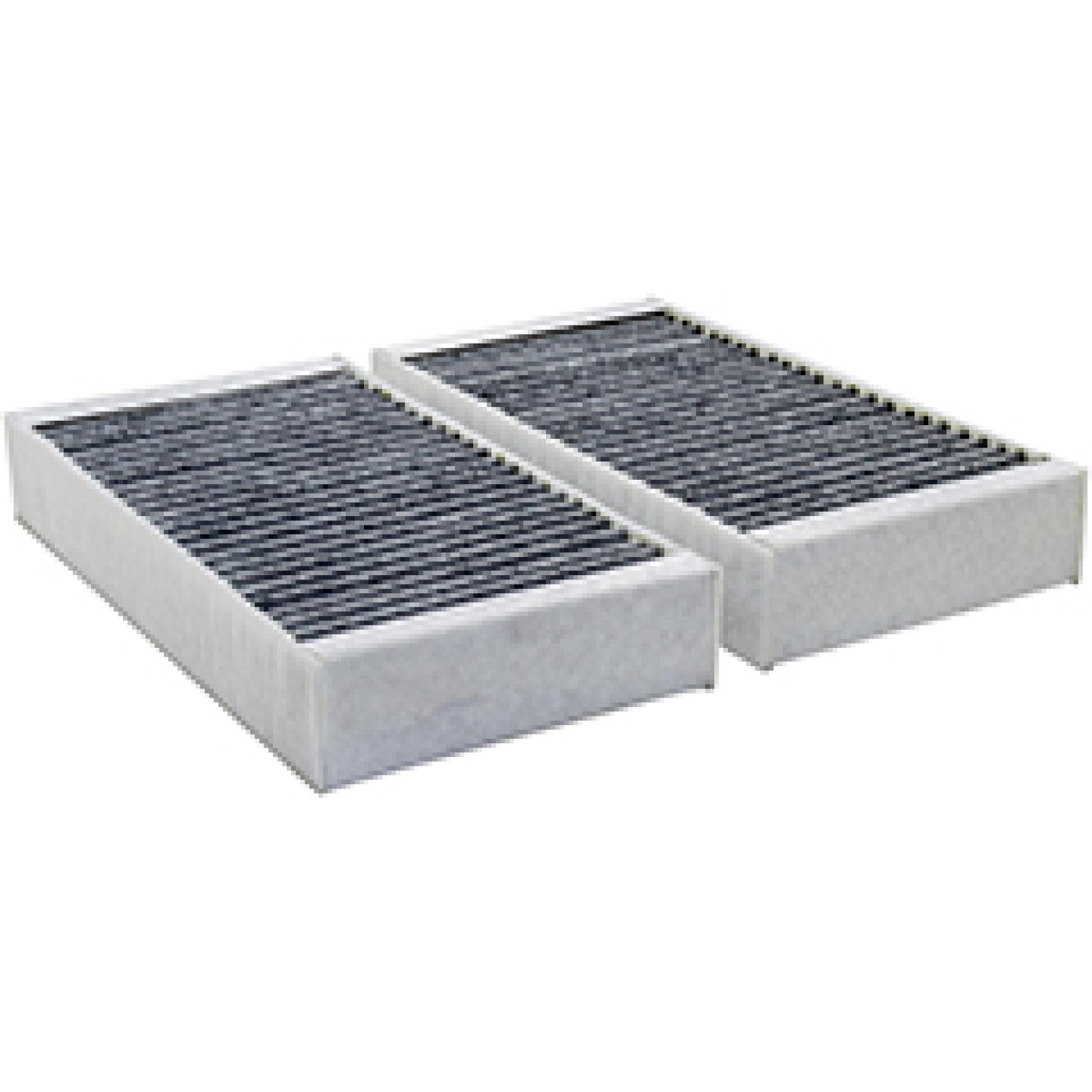 Baldwin PA10152KIT Cabin Air Filter product image 1 of 1