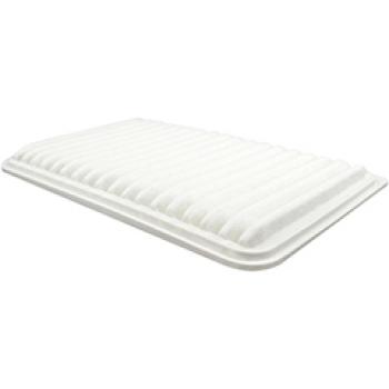 Baldwin PA10219 Air Filter product image 1 of 1